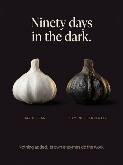 Fermented Black Garlic Extract